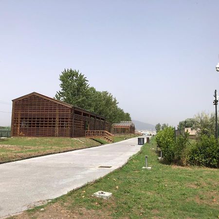Bnb Nonna Maria Poggiomarino Εξωτερικό φωτογραφία